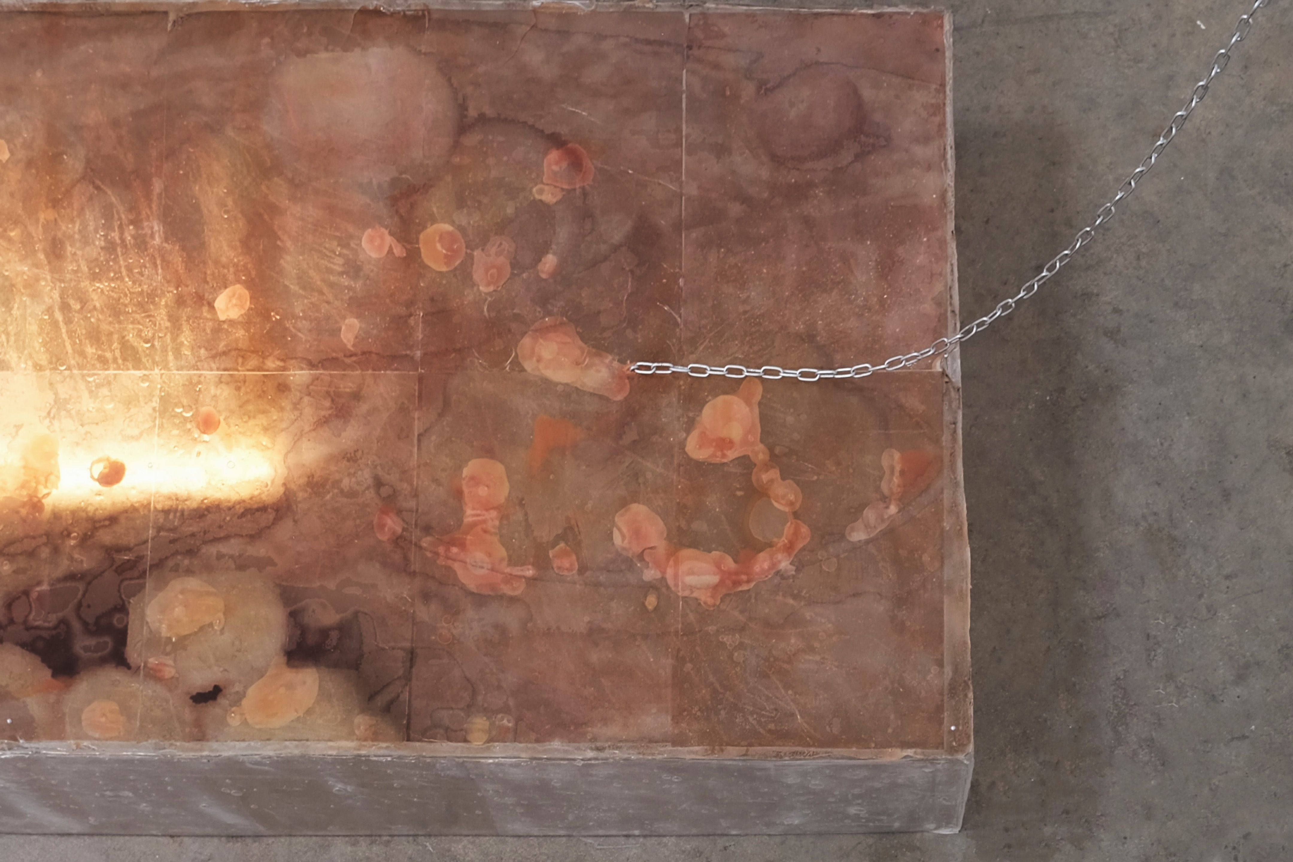 Muscae Floaters artwork detail 1
