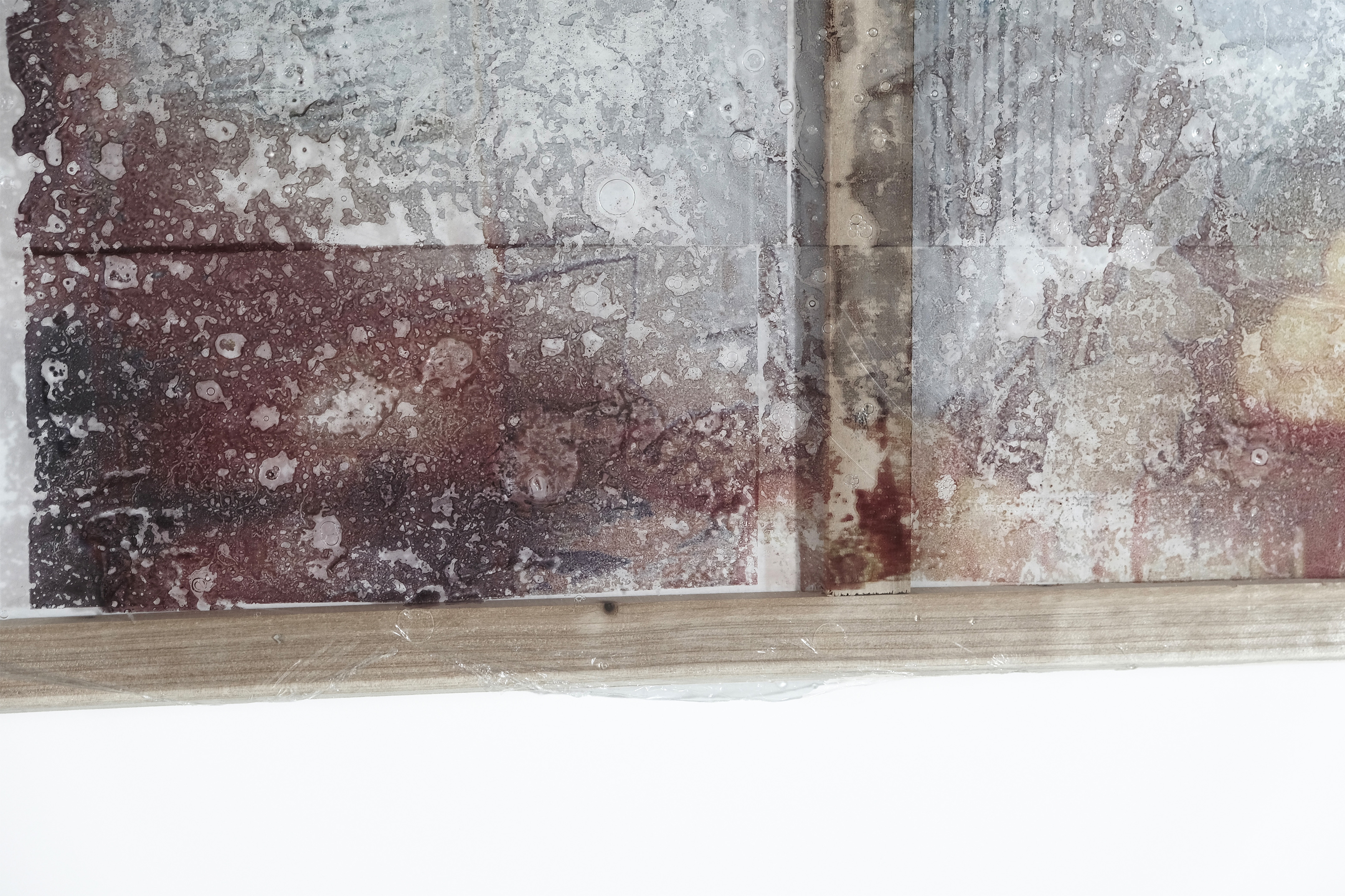 Gelatin1 artwork detail