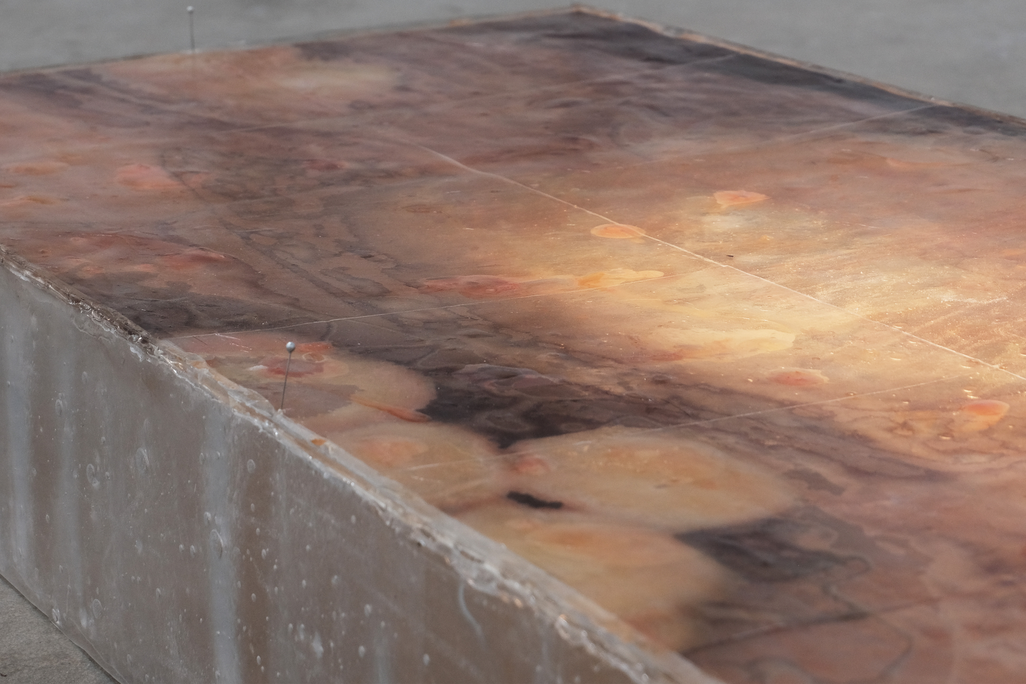 Muscae Floaters artwork detail 2