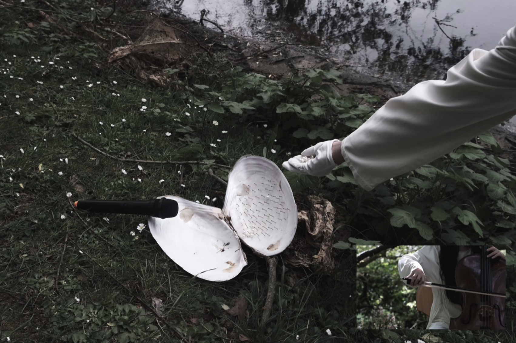 In Conversation with Oyster artwork thumbnail